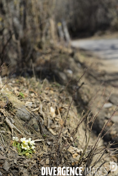 Chemin du Recueillement sur le site du crash de la Germanwings 1 an après.