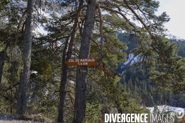 Chemin du Recueillement sur le site du crash de la Germanwings 1 an après.