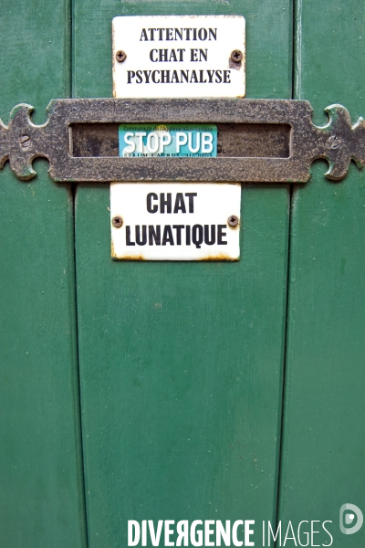 Mars2016.Attention chat en psychanalyse,chat lunatique