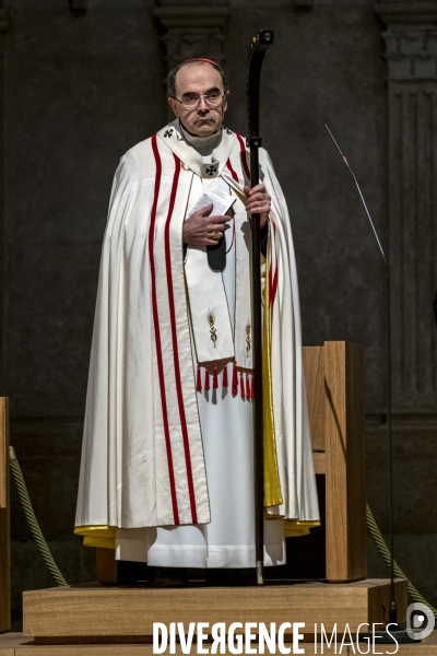 Philippe Barbarin, cardinal, archevêque de Lyon.
