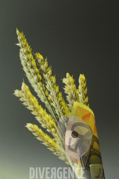 Illustration Symbole : impots, piège, billets, euro, fiscalité