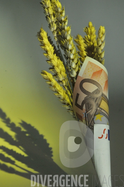 Illustration Symbole : impots, piège, billets, euro, fiscalité