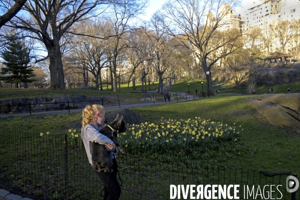 Retour a Manhattan # 01.A Central Park, une jeune fille tient son bouledogue dans ses bras