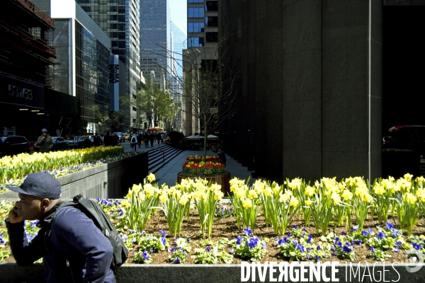 Retour a Manhattan # 01.Et soudain le Printemps, a un croisement de rues dans midtown,