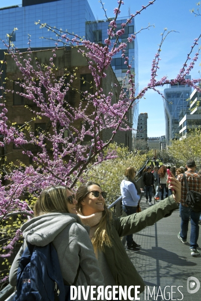 Retour a Manhattan # 02..Un samedi matin sur la High Line