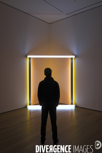Retour a Manhattan # 02.Un homme devant  une oeuvre de Dan Flavin au MOMA