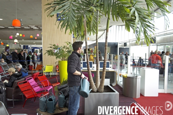 Illustration Avril 2016.Arrosage des arbres,  terminal 2d aeroport de Roissy