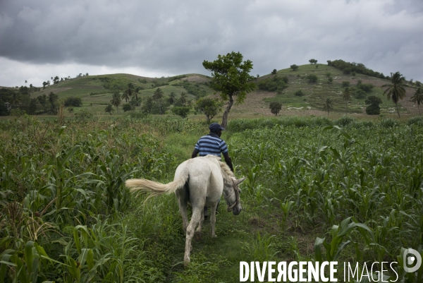 Vie quotidienne en haiti- 2016