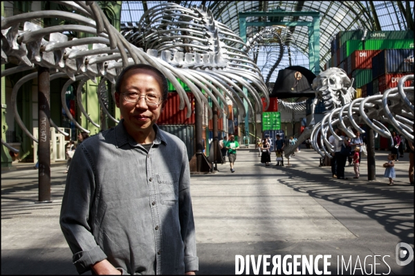 Portrait de l artiste HUANG YONG PING invité de Monumenta 2016 au Grand Palais,  devant son oeuvre   Empires 